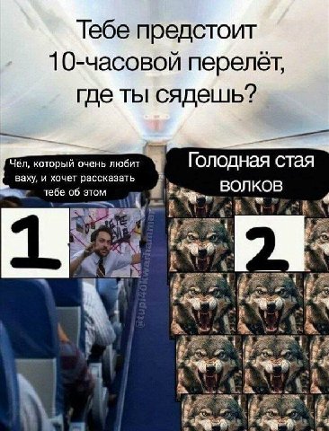 Тебе предстоит 10-часовой где ты сядешь? Чел, который очень любит Голодная стая ваху, и хочет рассказать 06 этом ВОЛКОВ A ral