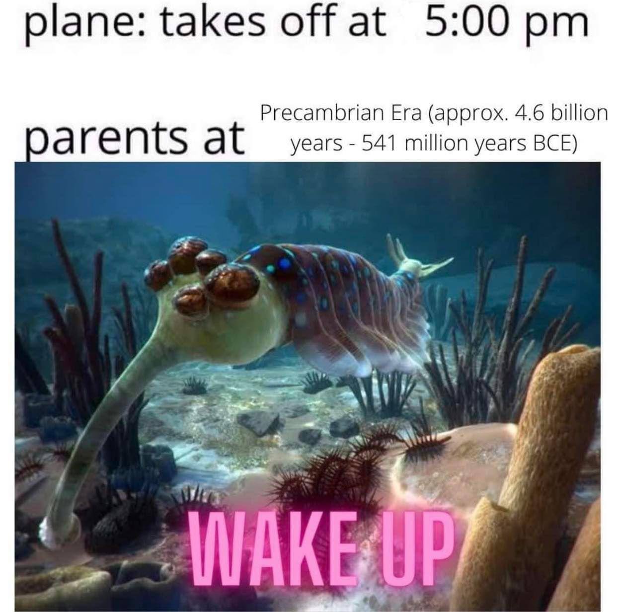 plane: takes off at 5:00 Precambrian Era (approx. 4.6 billion parents at years 541 million years BCE) у
