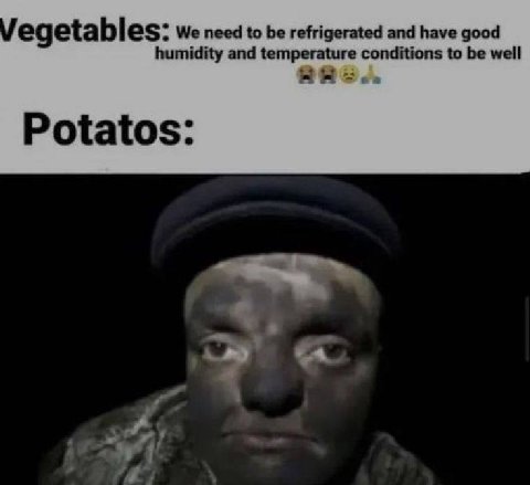 egetables: We need to be refrigerated and have good humidity and temperature conditions to be well Potatos: и