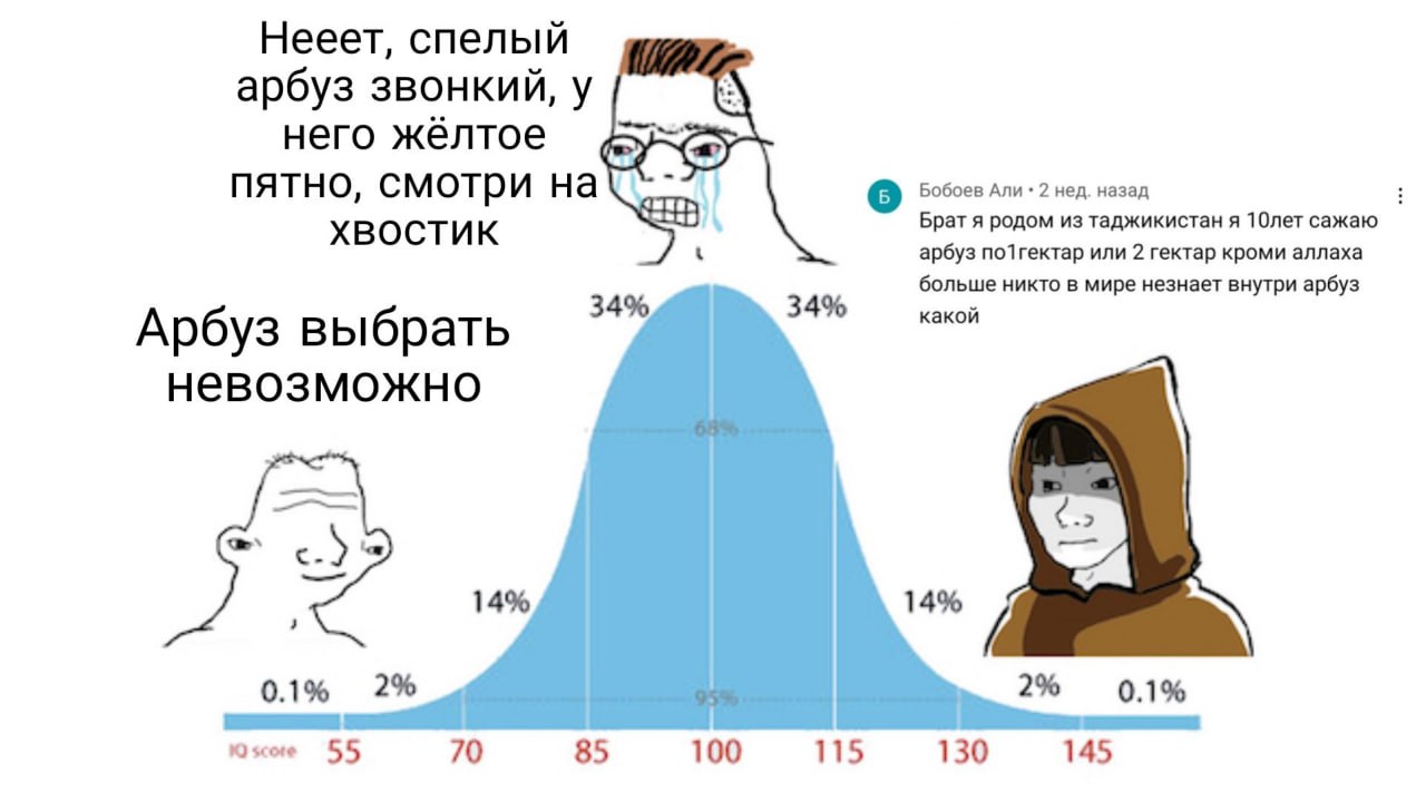 Нееет, спелый арбуз звонкий, у него жёлтое пятно, смотри на a Бобоев Али 2 нед. назад XBOCTUK Брат я родом из таджикистан A 10лет сажаю арбуз по1гектар или 2 гектар кроми аллаха 34% 34% больше никто в