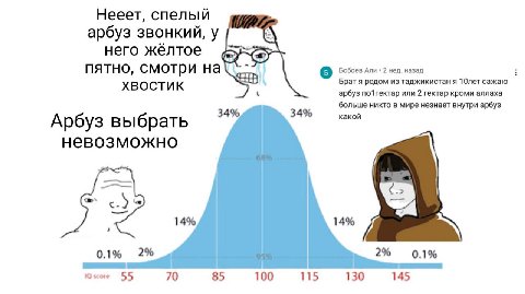 Нееет, спелый арбуз звонкий, у него жёлтое пятно, смотри на a Бобоев Али 2 нед. назад XBOCTUK Брат я родом из таджикистан A 10лет сажаю арбуз по1гектар или 2 гектар кроми аллаха 34% 34% больше никто в