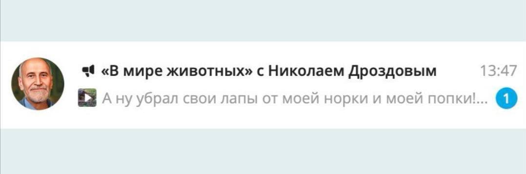 «В мире животных» с Николаем Дроздовым 13:47 (8 Ану убрал свои лапы от моей норки и моей