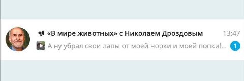 «В мире животных» с Николаем Дроздовым 13:47 (8 Ану убрал свои лапы от моей норки и моей