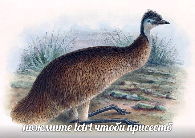 a) 4 A 4 a у у Я у a чтоди.присесто