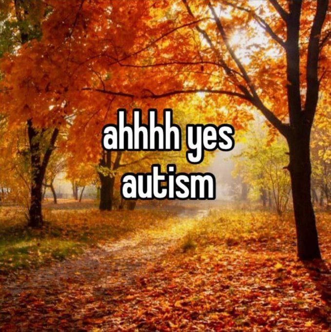 ahhhh yes 4. aut