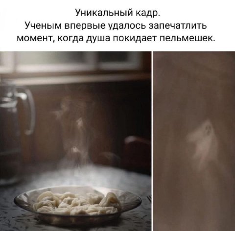 Уникальный кадр. Ученым впервые удалось запечатлить момент, когда душа покидает пельмешек