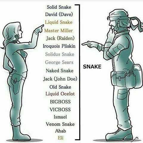 Solid Snake David (Dave) Liquid Snake Master Miller Jack (Raiden) Iroquois Pliskin Solidus Snake George Sears SNAKE Naked Snake Jack (John Doe) Old Snake Liquid Ocelot BIGBOSS 7 VICBOSS Ismael Venom S
