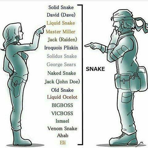 Solid Snake David (Dave) Liquid Snake Master Miller Jack (Raiden) Iroquois Pliskin Solidus Snake George Sears SNAKE Naked Snake Jack (John Doe) Old Snake Liquid Ocelot BIGBOSS 7 VICBOSS Ismael Venom S