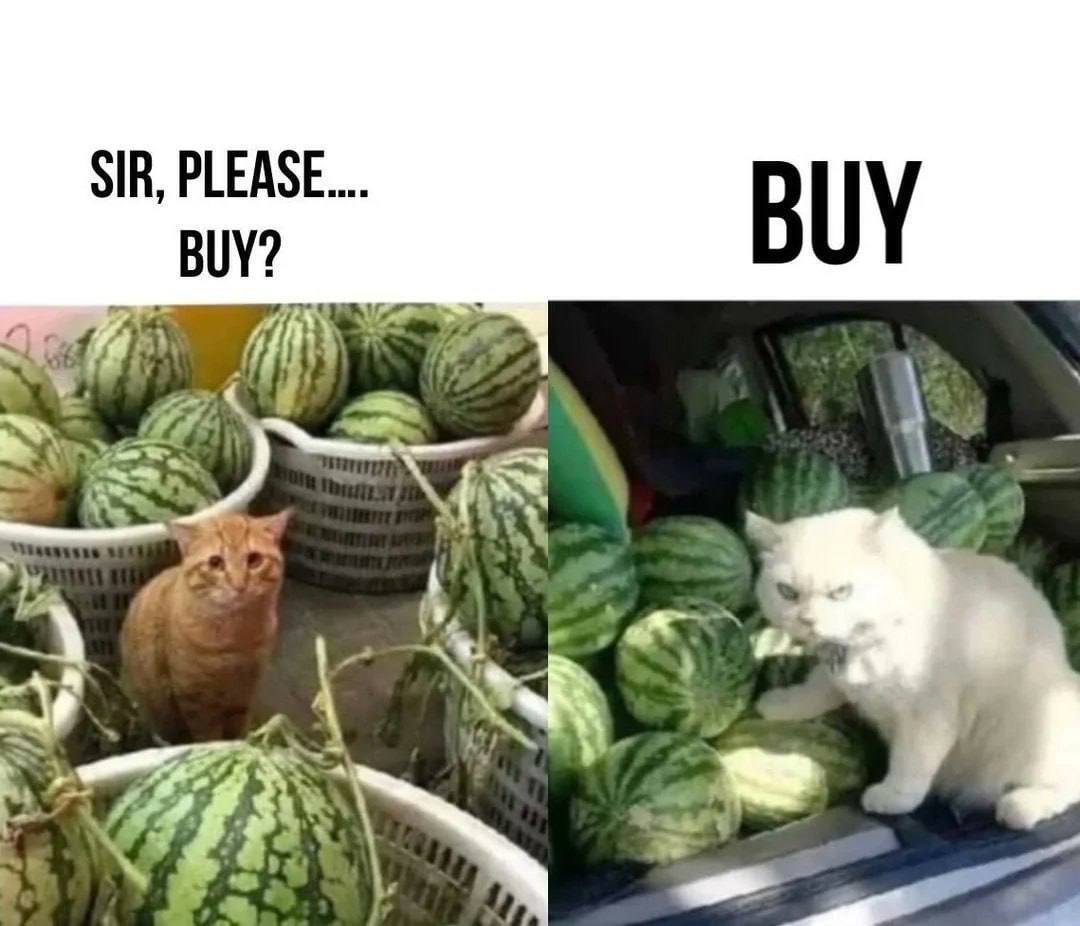 SIR, BUY? BUY к Nei