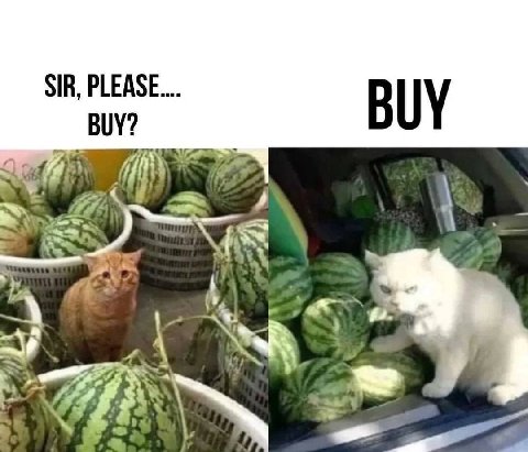 SIR, BUY? BUY к Nei