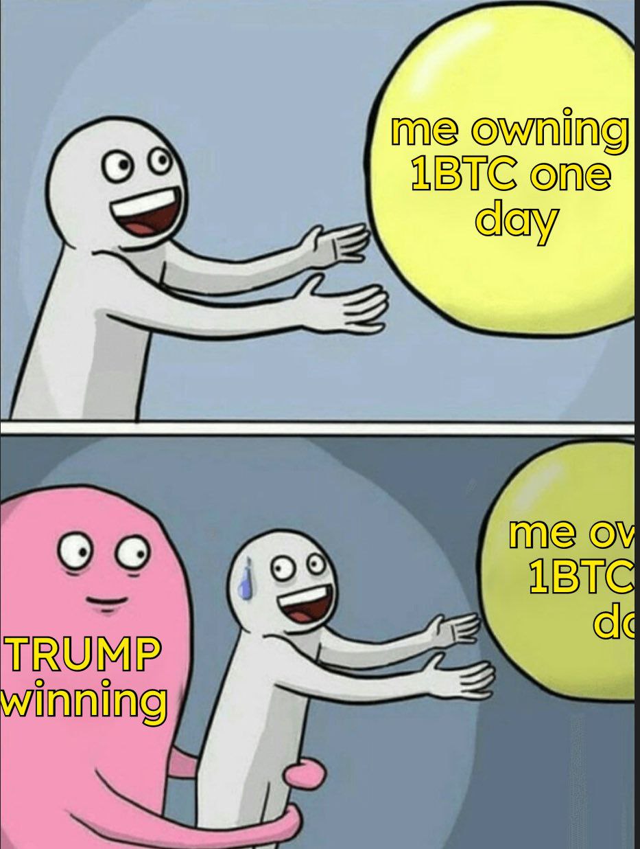 me owning ВТС one IBTC TRUMP winning