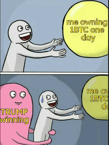 me owning ВТС one IBTC TRUMP winning