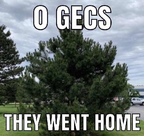 THEY WENT HOME