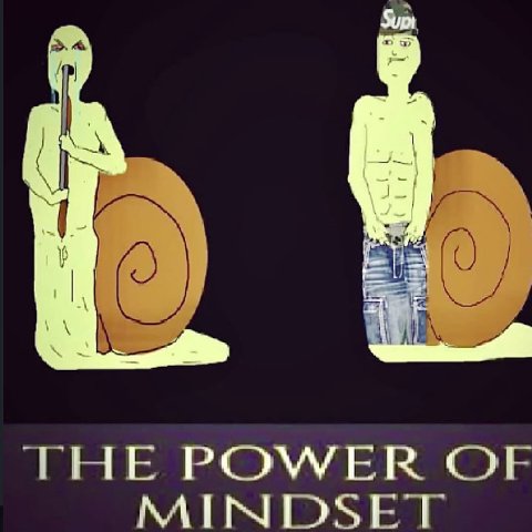 THE POWER MINDSET