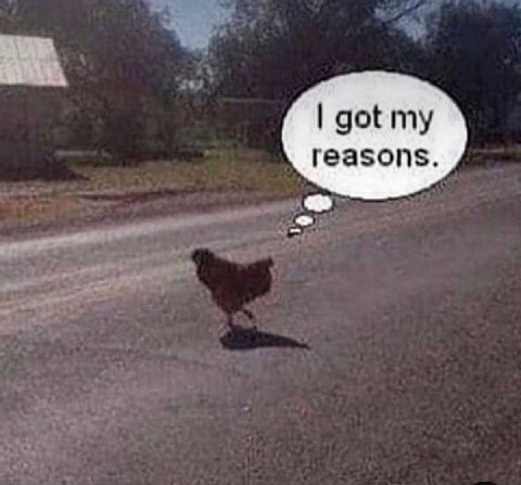 got my reasons