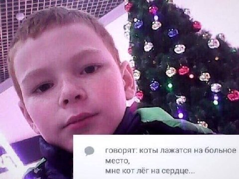 wee в. в? 4 a a говорят: коты лажатся на больное место, мне KOT лег на сердце.