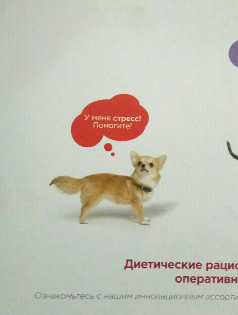 У меня стресс! Помогите! Диетические раци‹ оперативн Ознакомьтесь с нашим инновационным ассорти