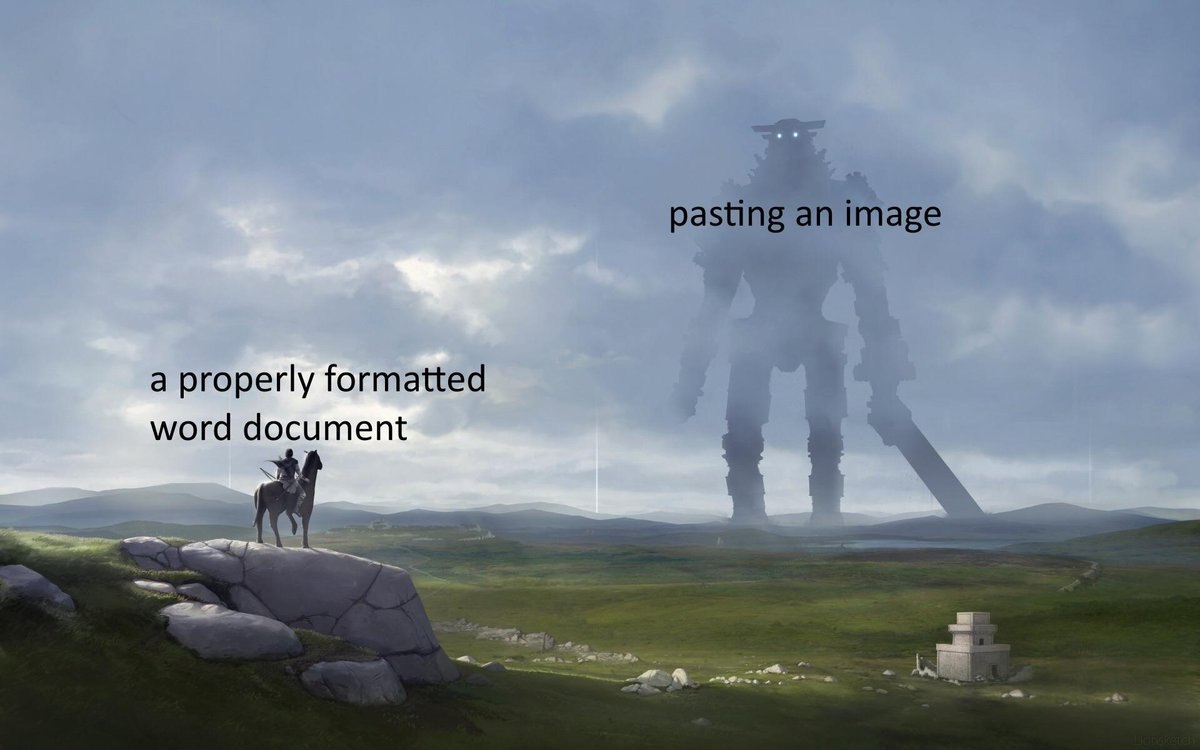pasting an image a properly formatted word document