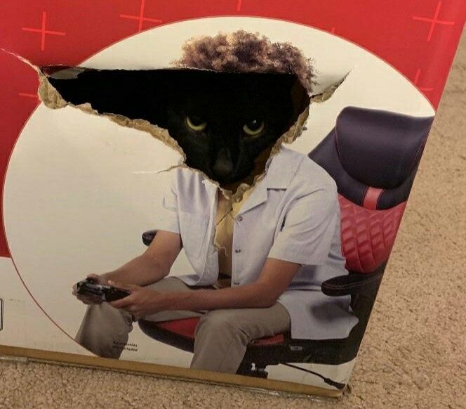 7 я