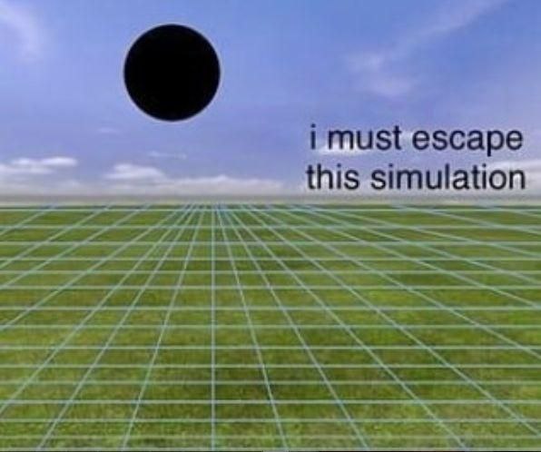 i must escape this simulation LLP