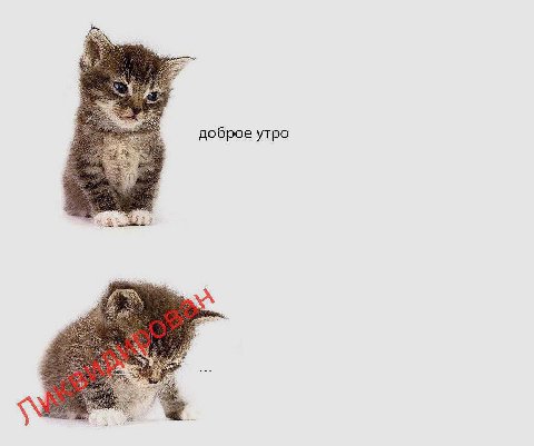 доброе утро