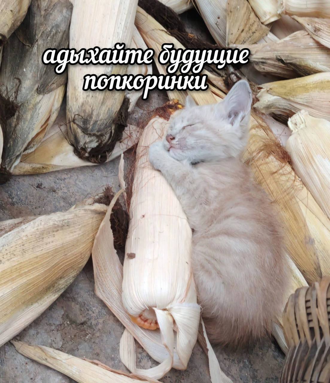 i у