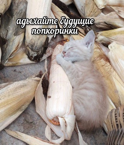 i у