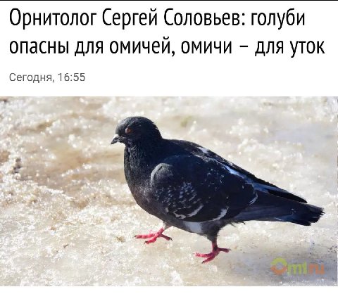 омское колесо сансары