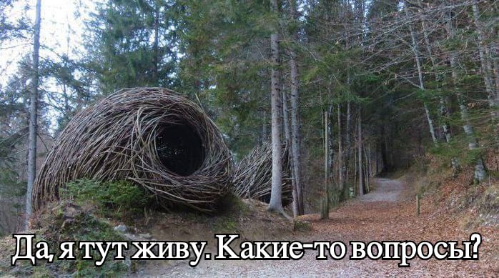 Да, ятут живу. Какие-то вопросы?