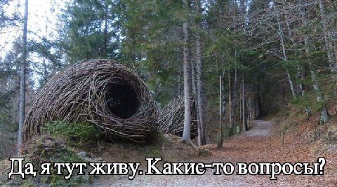 Да, ятут живу. Какие-то вопросы?