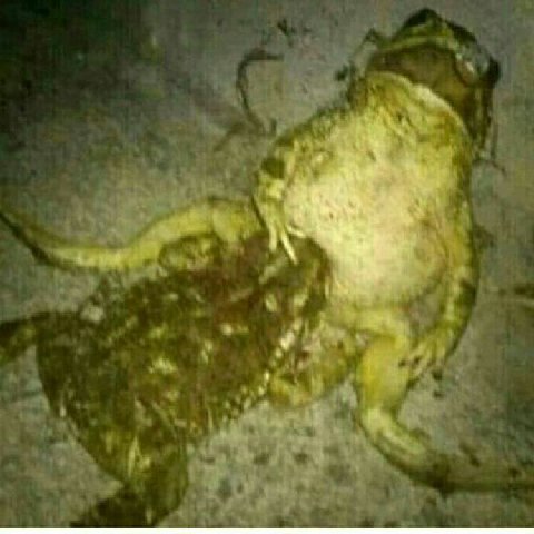 IN а