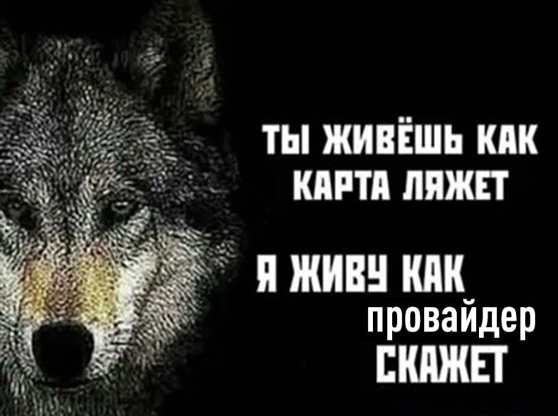 ТЫ ЖИВЕШЬ КАК КАРТА ЛЯЖЕТ Я ЖИВУ КАК провайдер СКАЖЕТ