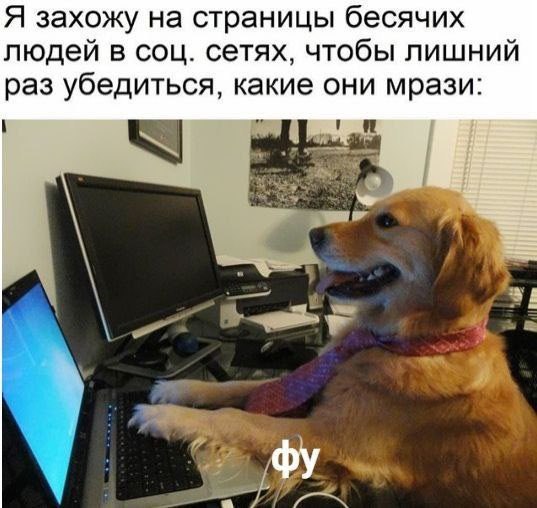 Я захожу на страницы бесячих людей в соц. сетях, чтобы лишний раз убедиться, какие они мрази: