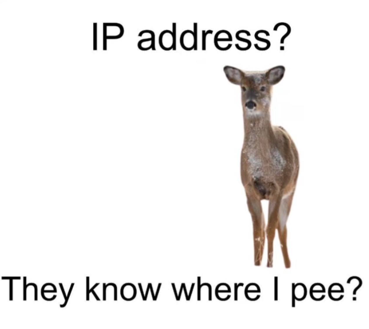 address? They know where pee?