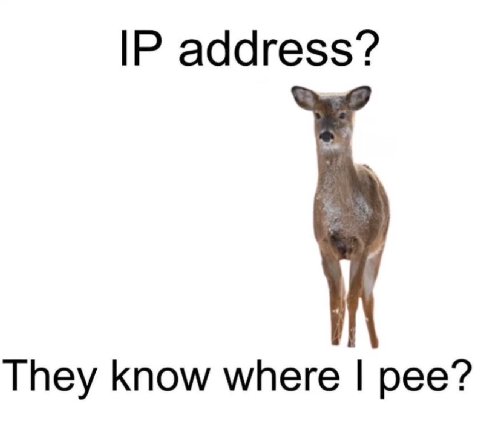address? They know where pee?