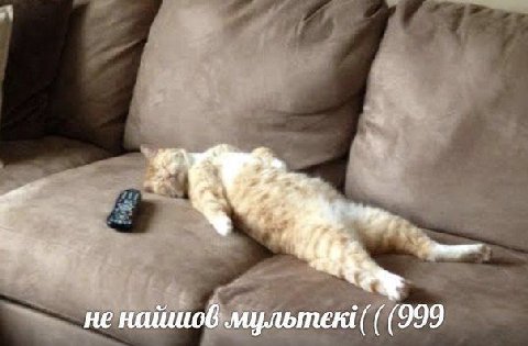 не найшов (999