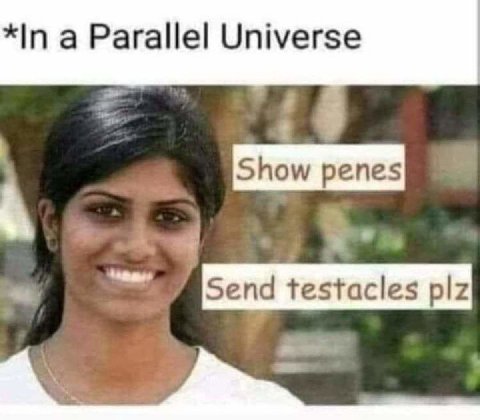 Parallel Universe