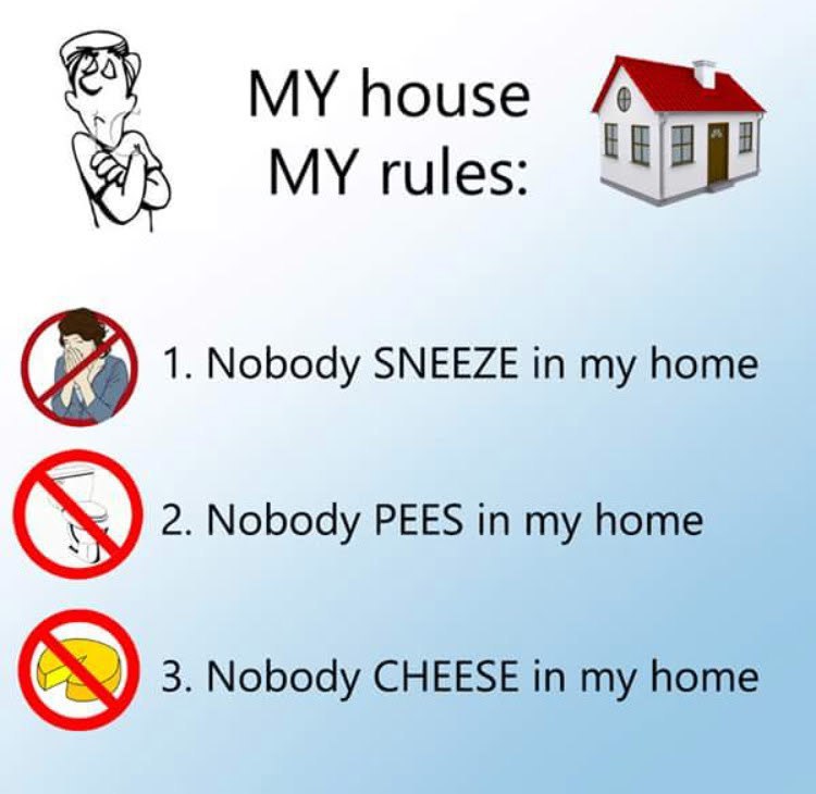 house MY rules: 1. Nobody SNEEZE in my home 2. Nobody PEES in my home 3. Nobody CHEESE in my home