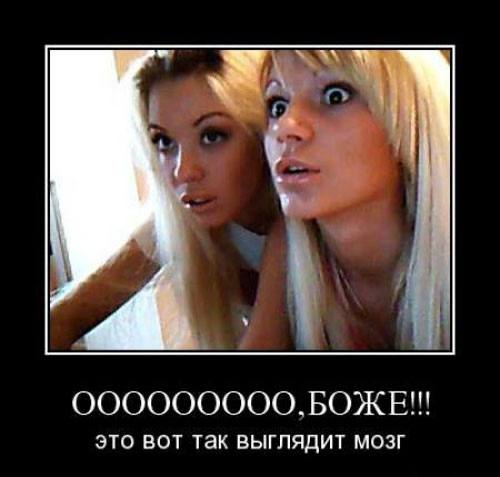 ООООООООО,БОЖЕ!! это вот так выглядит мозг