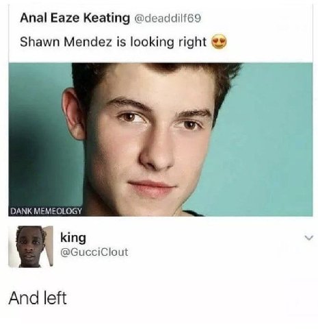 Anal Eaze Keating @deaddilf69 Shawn Mendez is looking right DANK MEMEOLOGY 4 king @GucciClout And left
