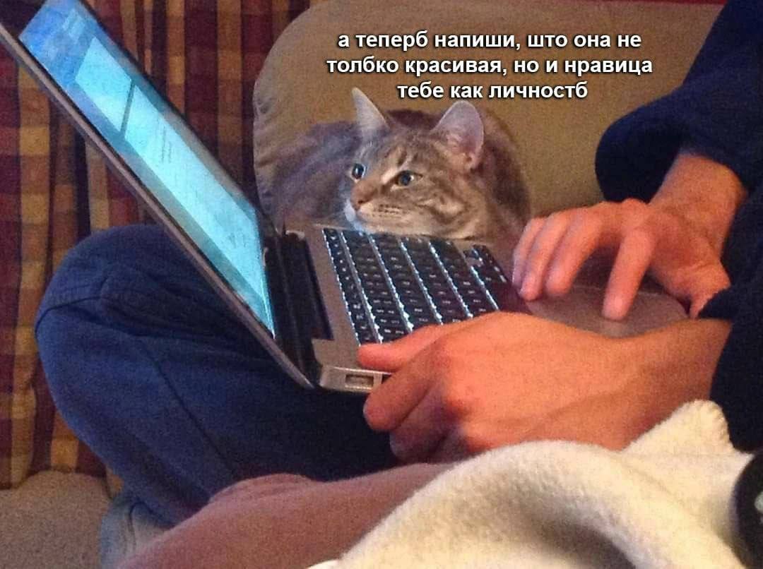 а теперб напиши, што она не толбко красивая, но и нравица тебе как личностб