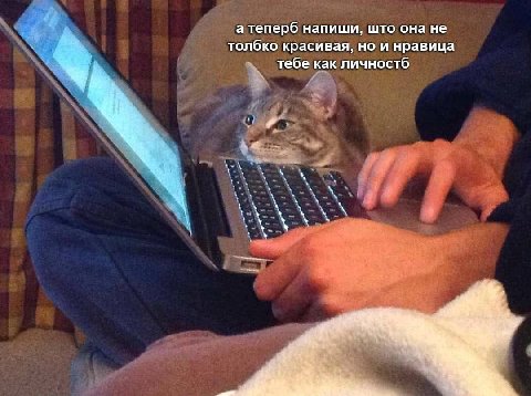 а теперб напиши, што она не толбко красивая, но и нравица тебе как личностб