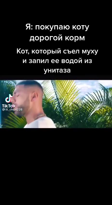 Я: покупаю коту дорогой корм Кот, который съел муху и запил ее водой из