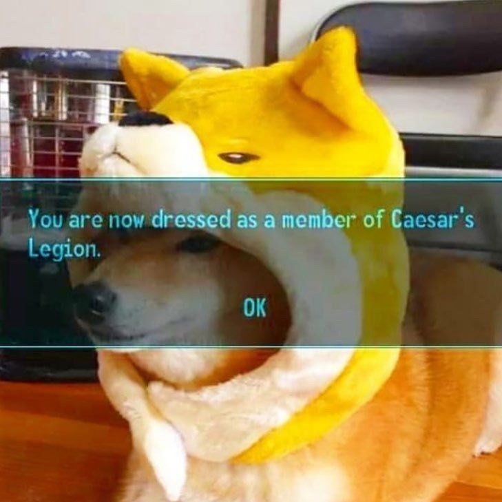 You are now dressed as а member of Сасзаг legion.