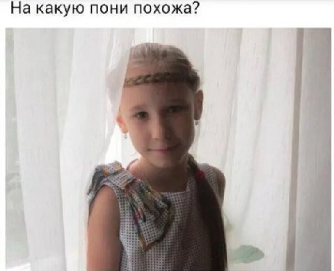 На какую пони похожа? В