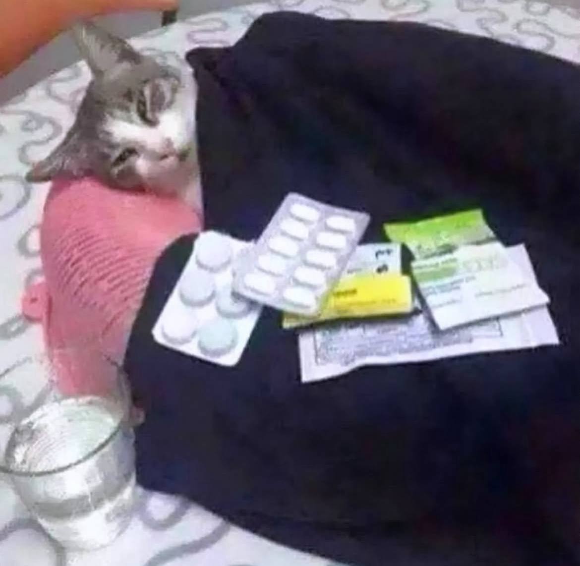 яяяяяя((((