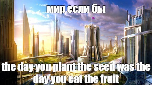 a 2 the the the Far the fruit