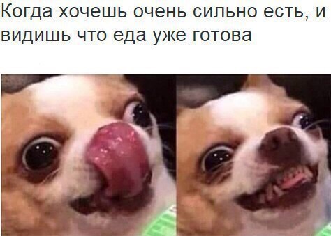 Когда хочешь очень сильно есть, и видишь что еда уже готова 2