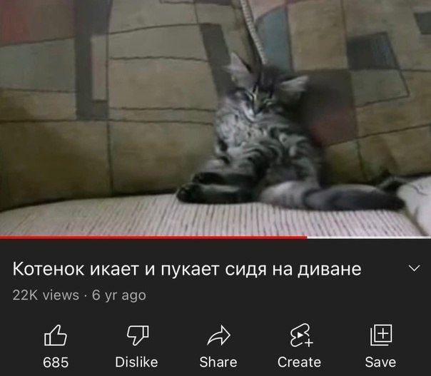 a a, Котенок икает и пукает сидя на диване views 6 ago a 685 Dislike Share Create Save