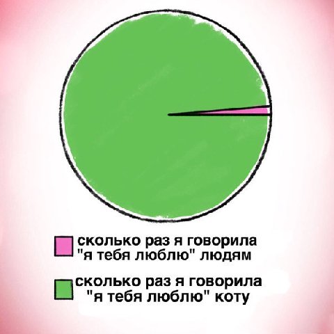 сколько раз я говорила "я тебя люблю" людям колько раз я говорила "я тебя люблю" коту